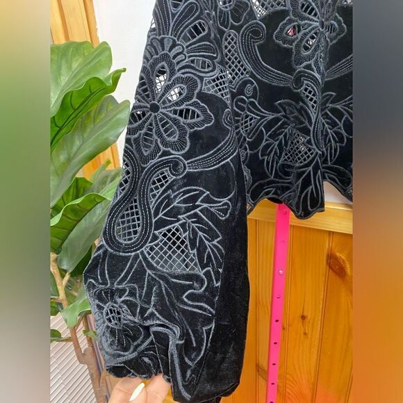 NWOT ZARA EMBROIDERED VELVET BLOUSE SZ XS - Picture 5 of 7